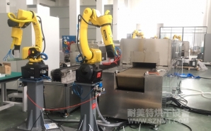 NMT-ZP-108 疫苗玻璃瓶小型预热加固化自动装配线(苏州?？松?